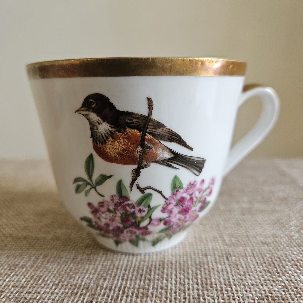 Schumann Arzberg‎ Teacup - Picture 7 of 9